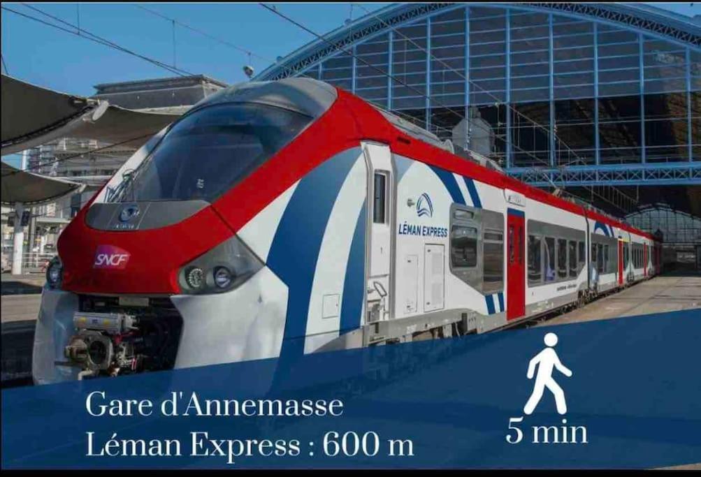 Virginia 600M De La Gare Apartamento Annemasse Exterior foto